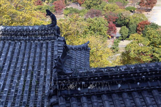 Trong ảnh: Vẻ cổ kính của lâu đài Himeji thể hiện rõ nét trên từng mái ngói. Một trong những nét nổi bật về dáng vẻ bên ngoài của tòa lâu đài cổ này là màu bạc của mái ngói kết hợp hài hòa với màu trắng của tường. Ảnh: Huy Hùng - TTXVN