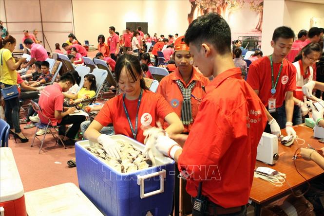 Trong ảnh: Thanh niên, học sinh tham gia hiến máu trong ngày hội “Giọt hồng tri ân”. Ảnh: Dương Ngọc - TTXVN