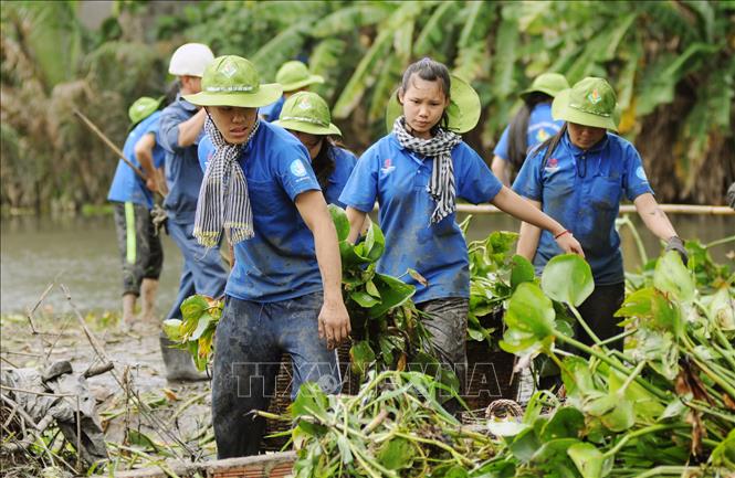 Trong ảnh: Thanh niên, sinh viên tình nguyện TP Hồ Chí Minh tham gia vớt lục bình, khơi thông dòng chảy tại rạch Ông Tổng, quận Gò Vấp. Ảnh: An Hiếu - TTXVN