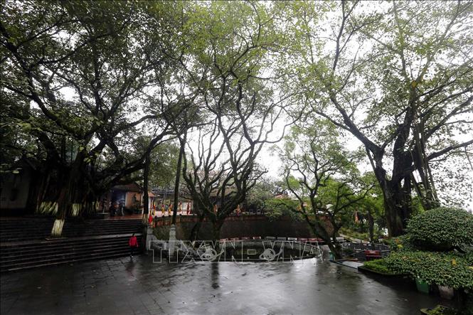 Trong ảnh: Khuôn viên của Đền có rất nhiều cây cổ thụ tạo nên nét đặc trưng riêng. Ảnh: Danh Lam - TTXVN