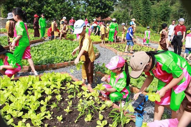 Trong ảnh: Các em nhỏ trải nghiệm sản xuất nông nghiệp ngay tại trang trại của Công ty TNHH 3T Plus Green Farm, xã Láng Lớn, huyện Châu Đức. Ảnh: Hoàng Nhị -TTXVN