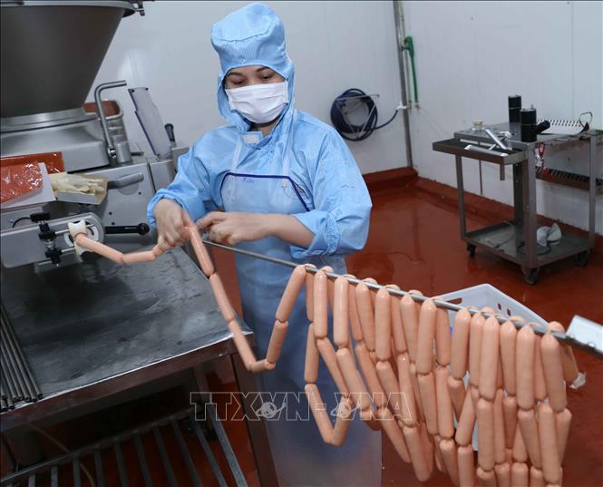 Trong ảnh: Chế biến sản phẩm xúc xích tại nhà máy của Công ty TNHH Chế biến thực phẩm Dabaco (Tập đoàn Dabaco Việt Nam). Ảnh: Vũ Sinh - TTXVN