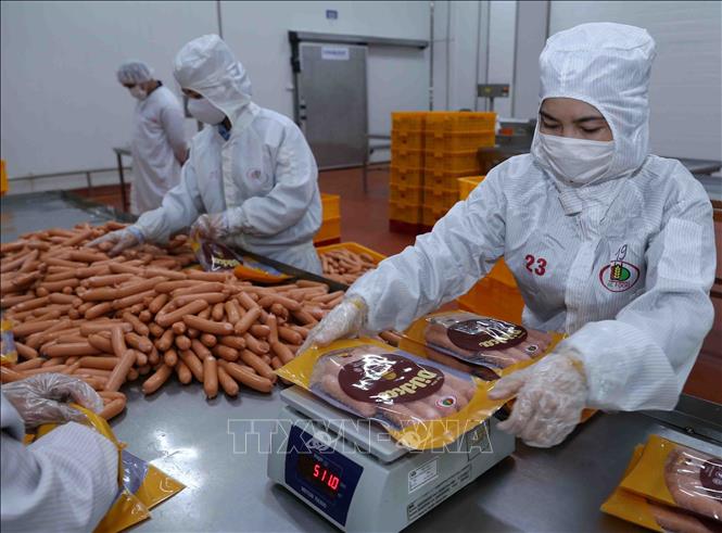 Trong ảnh: Đóng gói sản phẩm xúc xích tại nhà máy của Công ty TNHH chế biến thực phẩm Dabaco (Tập đoàn Dabaco Việt Nam). Ảnh: Vũ Sinh - TTXVN