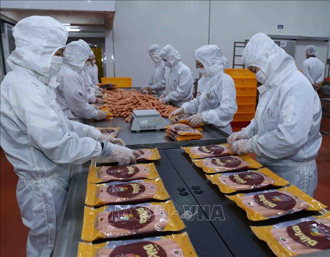 Trong ảnh: Đóng gói sản phẩm xúc xích tại nhà máy của Công ty TNHH Chế biến thực phẩm Dabaco (Tập đoàn Dabaco Việt Nam). Ảnh: Vũ Sinh - TTXVN