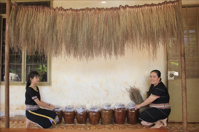 Trong ảnh: Phụ nữ người dân tộc Jrai chuẩn bị các ghè rượu Cần cho ngày Tết. Ảnh: Hồng Điệp - TTXVN