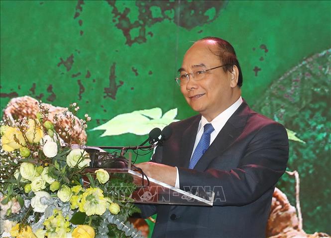 Trong ảnh: Thủ tướng Nguyễn Xuân  Phúc phát biểu. Ảnh: Thống Nhất – TTXVN