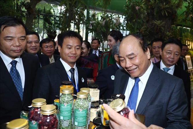 Trong ảnh: Thủ tướng Nguyễn Xuân Phúc và các đại biểu tham quan triển lãm. Ảnh: Thống Nhất – TTXVN