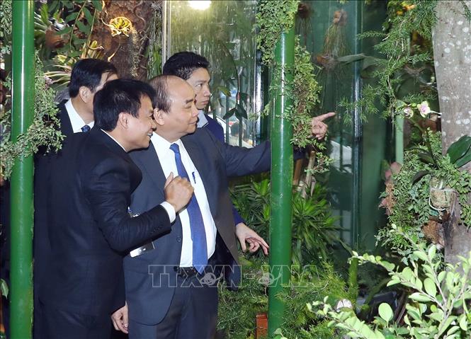  Trong ảnh: Thủ tướng Nguyễn Xuân Phúc và các đại biểu tham quan triển lãm. Ảnh: Thống Nhất – TTXVN
