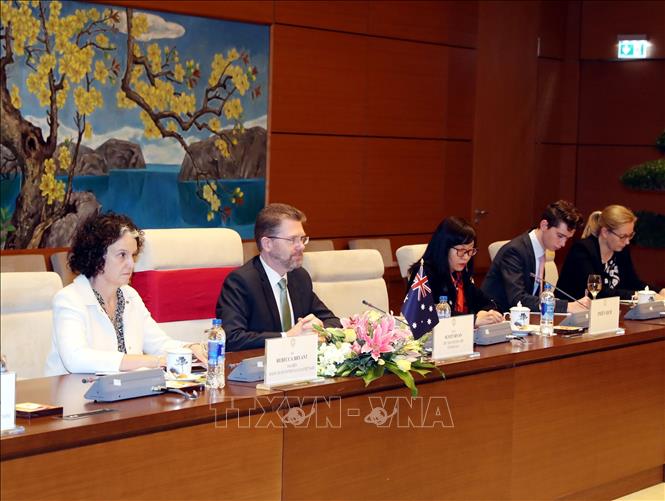 Photo: Australian Senate President Scott Ryan (2nd L) at the talks. VNA Photo: Trọng Đức