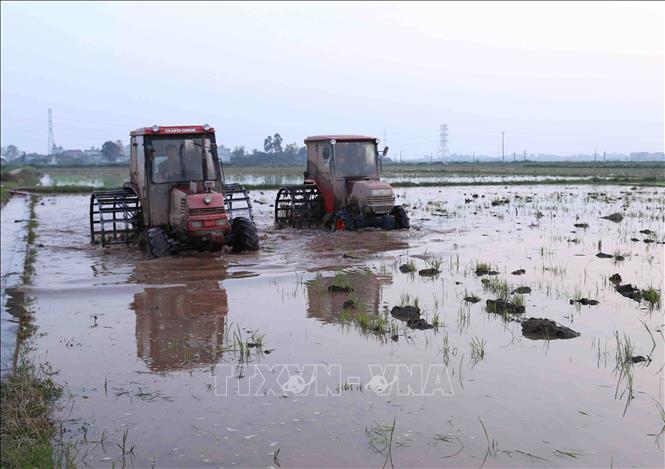 Trong ảnh: Làm đất chuẩn bị gieo cấy lúa vụ Đông Xuân 2018-2019 tại xã Giao Tiến, huyện Giao Thủy, tỉnh Nam Định. Ảnh: Vũ Sinh - TTXVN