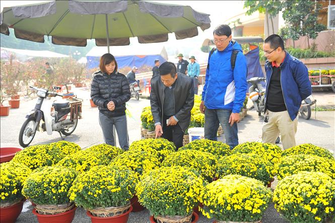 Trong ảnh: Du khách tham quan và mua cây, hoa về trang trí để đón Tết. Ảnh: Minh Đức - TTXVN