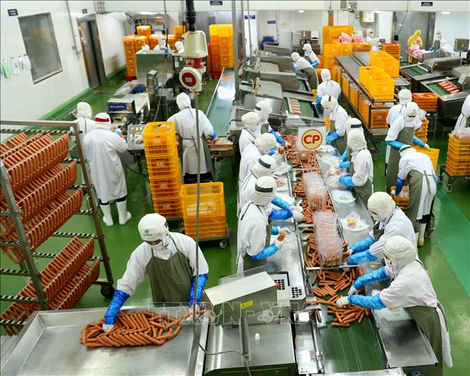 Trong ảnh: Nhà máy chế biến thực phẩm C.P Hà Nội (Công ty Cổ phần chăn nuôi C.P Việt Nam) cung cấp 1.300 tấn xúc xích, lạp xưởng… cho thị trường Tết Kỷ Hợi. Ảnh: Vũ Sinh - TTXVN