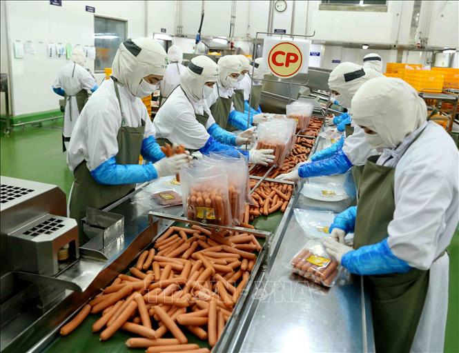 Trong ảnh: Nhà máy chế biến thực phẩm C.P Hà Nội (Công ty Cổ phần chăn nuôi C.P Việt Nam) cung cấp 1.300 tấn xúc xích, lạp xưởng… cho thị trường Tết Kỷ Hợi. Ảnh: Vũ Sinh - TTXVN