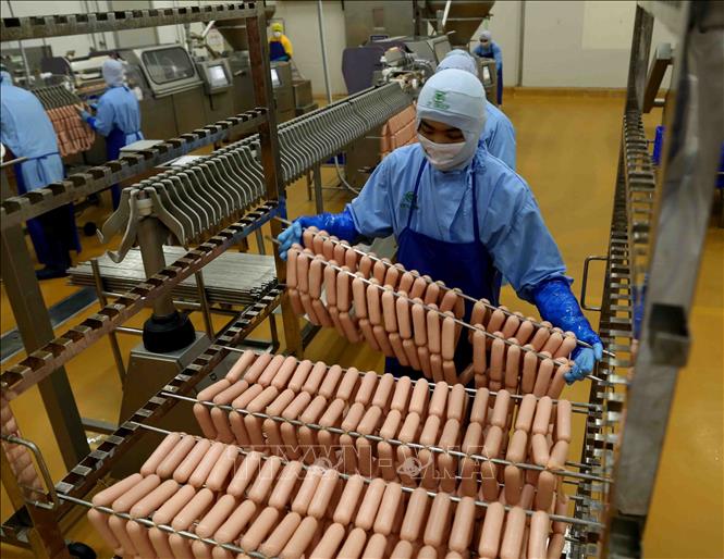 Trong ảnh: Nhà máy chế biến thực phẩm C.P Hà Nội (Công ty Cổ phần chăn nuôi C.P Việt Nam) cung cấp 1.300 tấn xúc xích, lạp xưởng… cho thị trường Tết Kỷ Hợi. Ảnh: Vũ Sinh - TTXVN