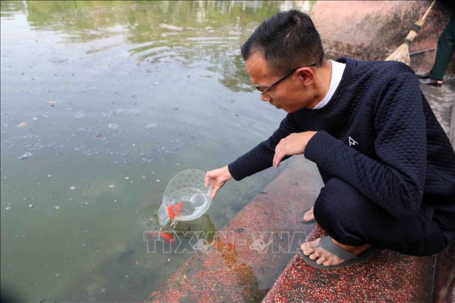 Trong ảnh: Người dân thủ đô thủ đô thả cá chép tại khu vực hồ Thủ Lệ. Ảnh: Thành Đạt – TTXVN
