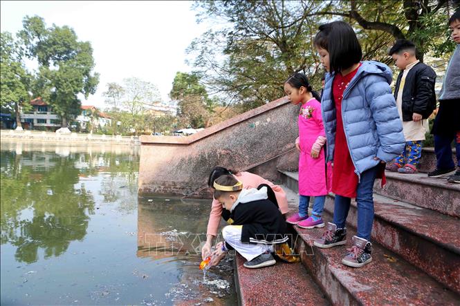 Trong ảnh: Cô giáo dạy các em học sinh thả cá chép đúng cách. Ảnh: Thành Đạt – TTXVN
