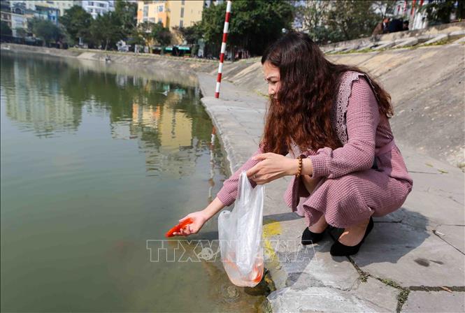 Trong ảnh: Người dân thủ đô thủ đô thả cá chép tại khu vực hồ Ngọc Khánh. Ảnh: Thành Đạt – TTXVN
