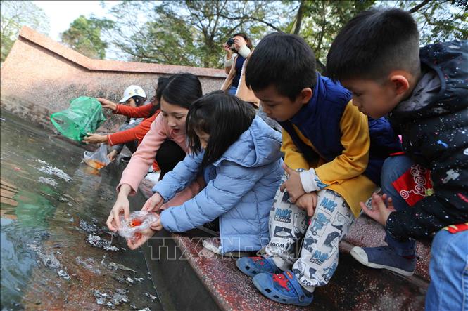 Trong ảnh: Cô giáo dạy các em học sinh thả cá chép đúng cách. Ảnh: Thành Đạt – TTXVN
