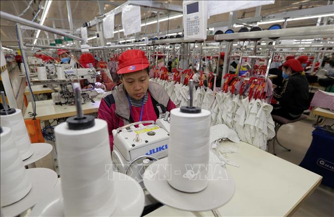 Trong ảnh: May hàng xuất khẩu sang thị trường EU tại Công ty may Tinh Lợi, khu công nghiệp Lai Vu, huyện Kinh Thành (Hải Dương). Ảnh: Trần Việt - TTXVN