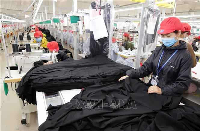 Trong ảnh: May hàng xuất khẩu sang thị trường EU tại Công ty may Tinh Lợi, khu công nghiệp Lai Vu, huyện Kinh Thành (Hải Dương). Ảnh: Trần Việt - TTXVN