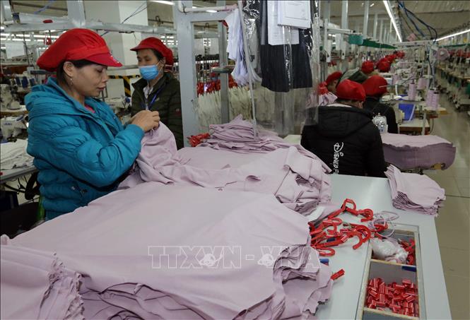 Trong ảnh: May hàng xuất khẩu sang thị trường EU tại Công ty may Tinh Lợi, khu công nghiệp Lai Vu, huyện Kinh Thành (Hải Dương). Ảnh: Trần Việt - TTXVN