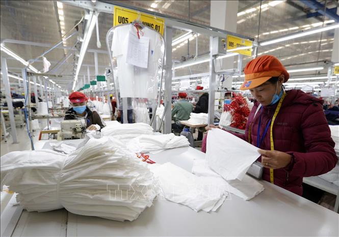 Trong ảnh: May hàng xuất khẩu sang thị trường EU tại Công ty may Tinh Lợi, khu công nghiệp Lai Vu, huyện Kinh Thành (Hải Dương). Ảnh: Trần Việt - TTXVN