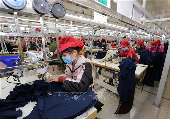 Trong ảnh: May hàng xuất khẩu sang thị trường EU tại Công ty may Tinh Lợi, khu công nghiệp Lai Vu, huyện Kinh Thành (Hải Dương). Ảnh: Trần Việt - TTXVN