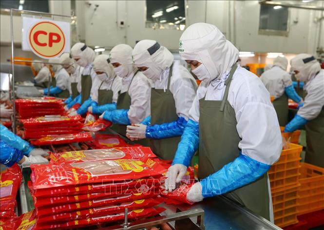 Trong ảnh: Chế biến sản phẩm xúc xích sử dụng công nghệ thanh trùng hiện đại của Châu Âu tại Công ty Cổ phần Chăn nuôi C.P Việt Nam (vốn đầu tư của Thái Lan), chi nhánh Hà Nội. Ảnh: Danh Lam – TTXVN