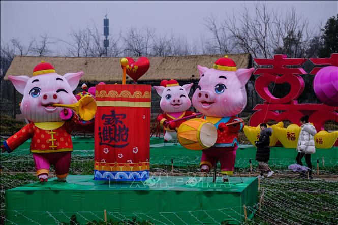 Trong ảnh: Đèn lồng hình những chú lợn chào đón Xuân Kỷ Hợi trưng bày tại tỉnh Chiết Giang , Trung Quốc. Ảnh: THX/TTXVN