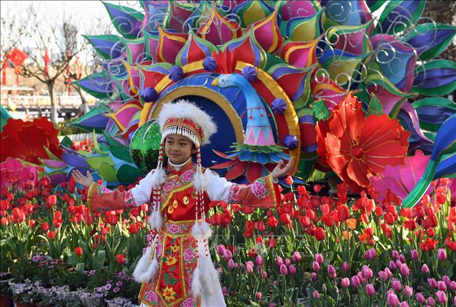 Trong ảnh: Du khách chụp ảnh với hoa chào đón  Tết Nguyên đán Kỷ Hợi tại Côn Minh, Trung Quốc. Ảnh: THX/TTXVN