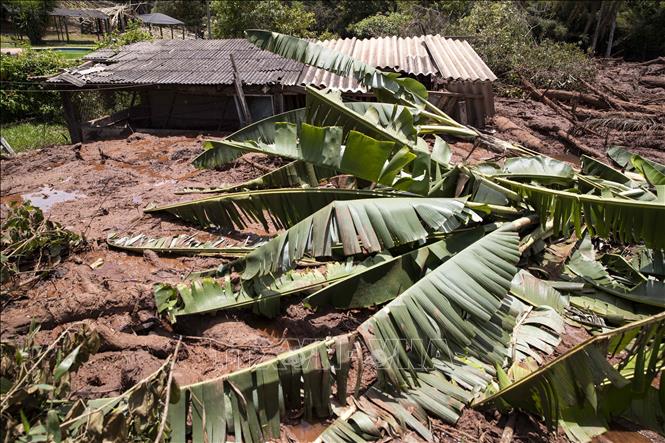 Trong ảnh: Nhà cửa bị phá hủy sau vụ vỡ đập hồ chứa chất thải tại mỏ quặng sắt ở Brumadinho, bang Minas Gerias, Brazil, ngày 27/1/2019. Ảnh: THX/ TTXVN