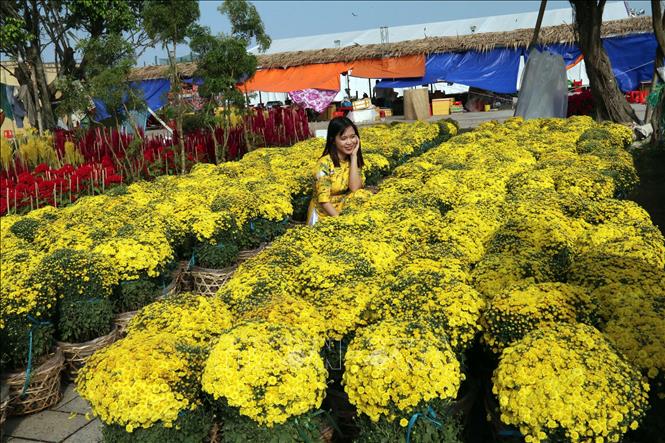 Trong ảnh: Chợ hoa xuân Phú Cường. Ảnh: Lê Sen - TTXVN