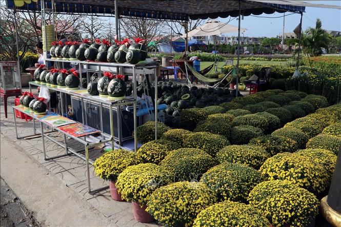 Trong ảnh: Chợ hoa xuân Phú Cường. Ảnh: Lê Sen - TTXVN