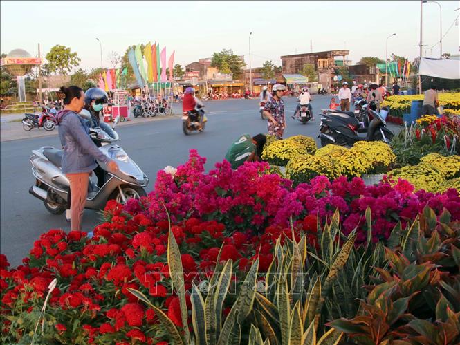 Tong ảnh: Một góc chợ hoa tại thành phố Cà Mau. Ảnh: Kim Há-TTXVN