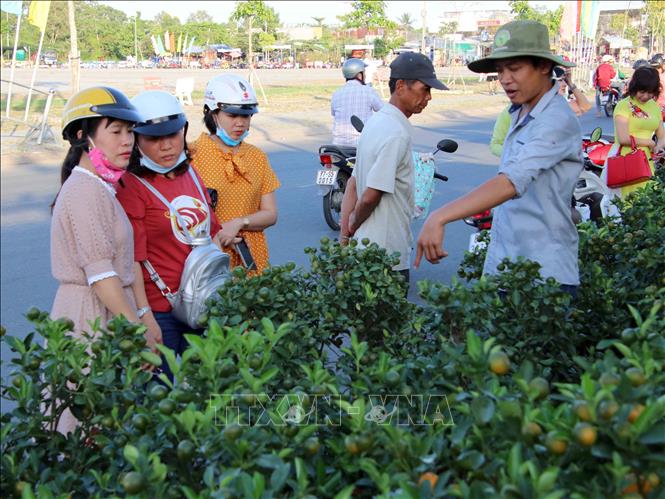 Trong ảnh: Người dân Cà Mau chọn mua hoa kiểng trong dịp Tết Kỷ Hợi. Ảnh: Kim Há-TTXVN