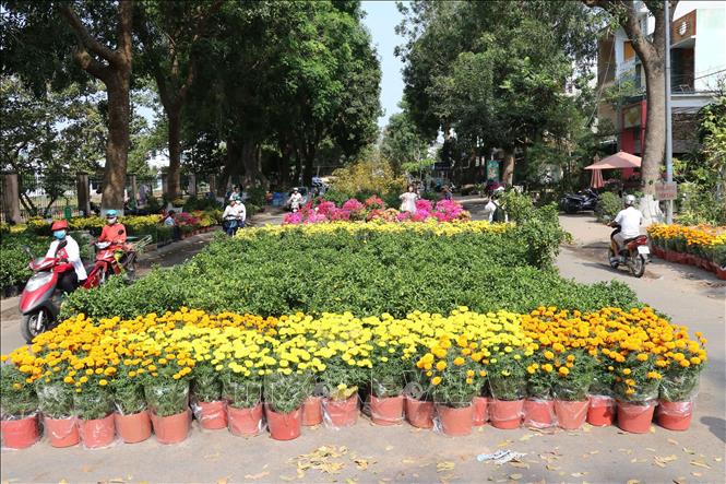 Trong ảnh: Chợ hoa xuân thành phố Cao Lãnh. Ảnh: Nguyễn Văn Trí – TTXVN