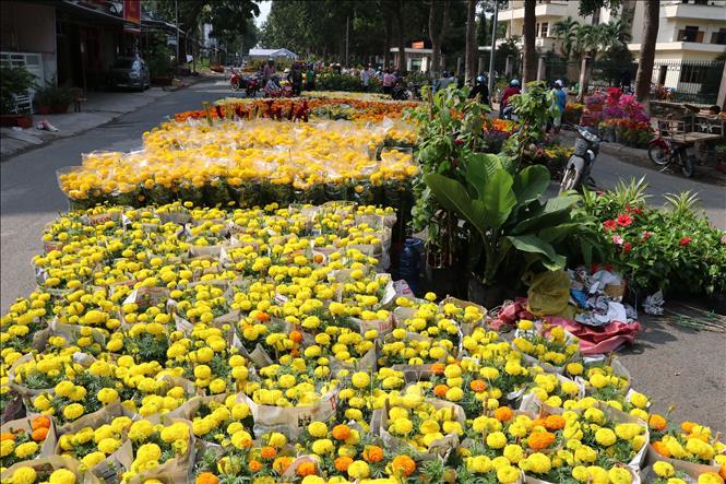 Trong ảnh: Chợ hoa xuân thành phố Cao Lãnh. Ảnh: Nguyễn Văn Trí – TTXVN