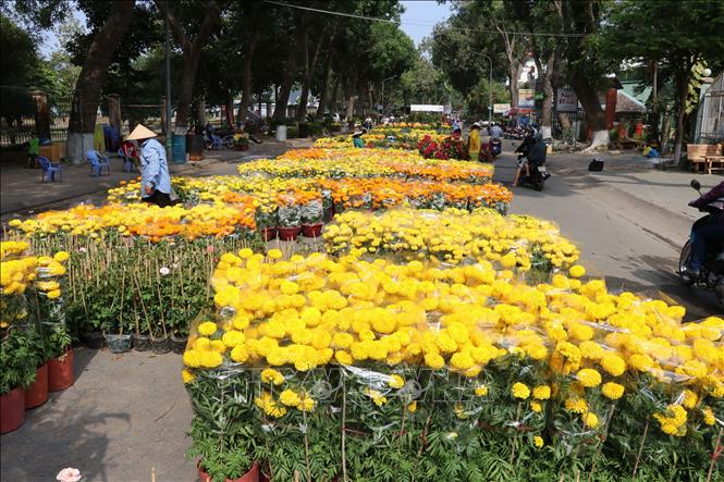 Trong ảnh: Chợ hoa xuân thành phố Cao Lãnh. Ảnh: Nguyễn Văn Trí – TTXVN