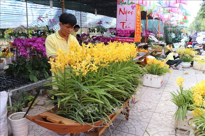 Trong ảnh: Chợ hoa xuân thành phố Cao Lãnh. Ảnh: Nguyễn Văn Trí – TTXVN