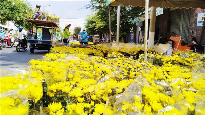 Trong ảnh: Gian hàng tại chợ hoa Xuân 2019. Ảnh: Nam Thái - TTXVN