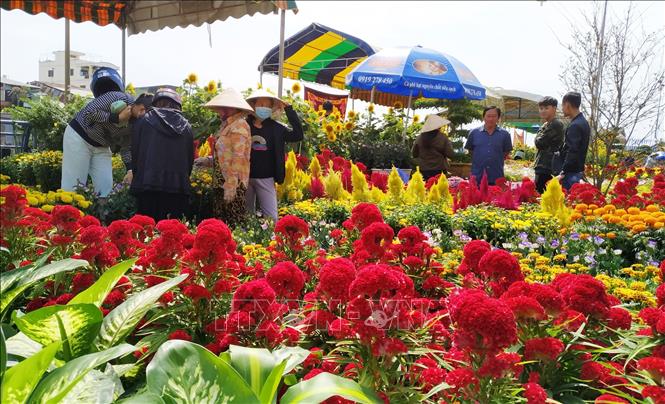 Trong ảnh: Người dân chọn mua tại chợ hoa Xuân. Ảnh: Nam Thái - TTXVN
