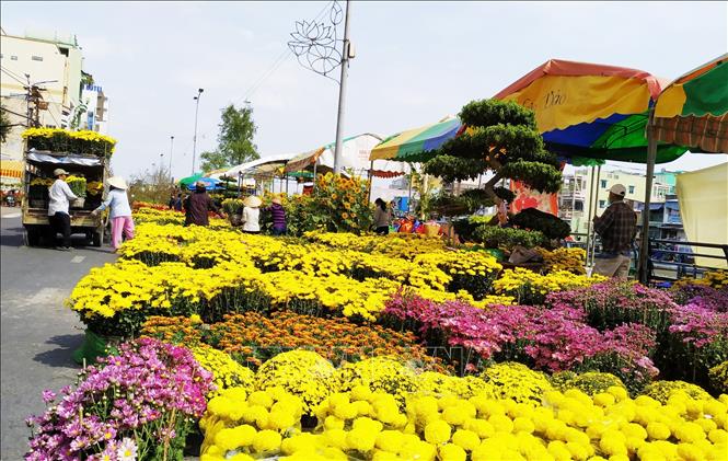 Trong ảnh: Người dân chọn mua hoa tại chợ hoa Xuân 2019. Ảnh: Nam Thái - TTXVN