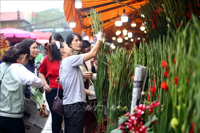 Trong ảnh: Cảnh mua bán hoa, cây cảnh tại chợ hoa Quảng An. Ảnh: Danh Lam – TTXVN
