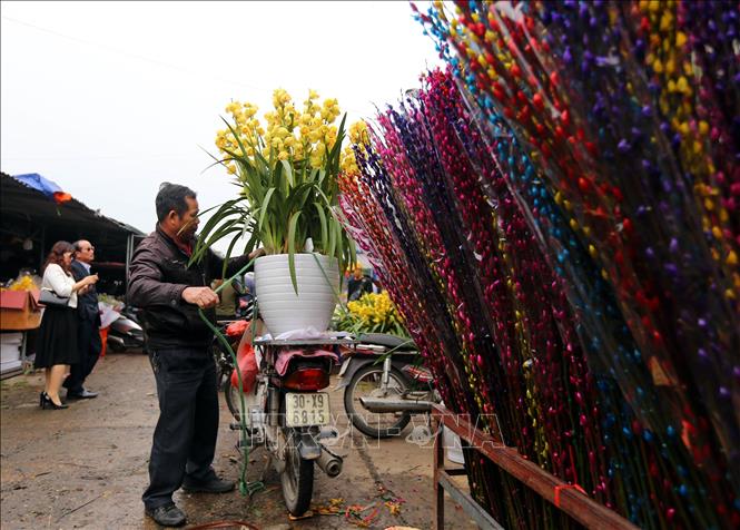 Trong ảnh: Người dân thủ đô Hà Nội chọn mua hoa, cây cảnh tại chợ hoa Quảng An. Ảnh: Danh Lam – TTXVN