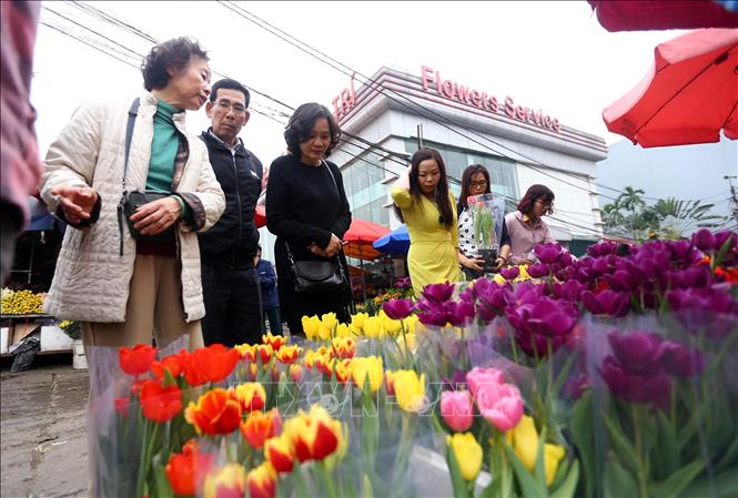 Trong ảnh: Cảnh mua bán hoa, cây cảnh tại chợ hoa Quảng An. Ảnh: Danh Lam – TTXVN