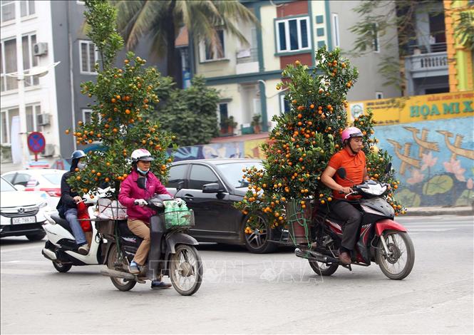 Trong ảnh: Người dân thủ đô chở cây cảnh về trang trí cho ngôi nhà của mình. Ảnh: Danh Lam – TTXVN