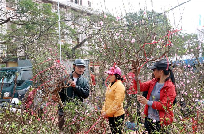 Trong ảnh: Người dân thành phố Nam Định đi chợ hoa xuân. Ảnh: Văn Đạt - TTXVN