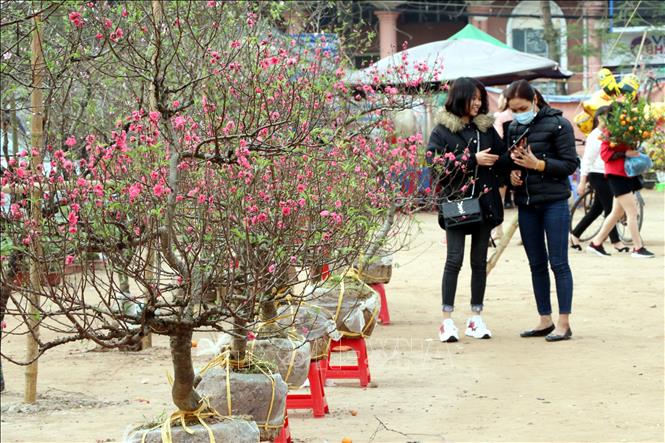 Trong ảnh: Người dân thành phố Nam Định đi chợ hoa xuân. Ảnh: Văn Đạt - TTXVN