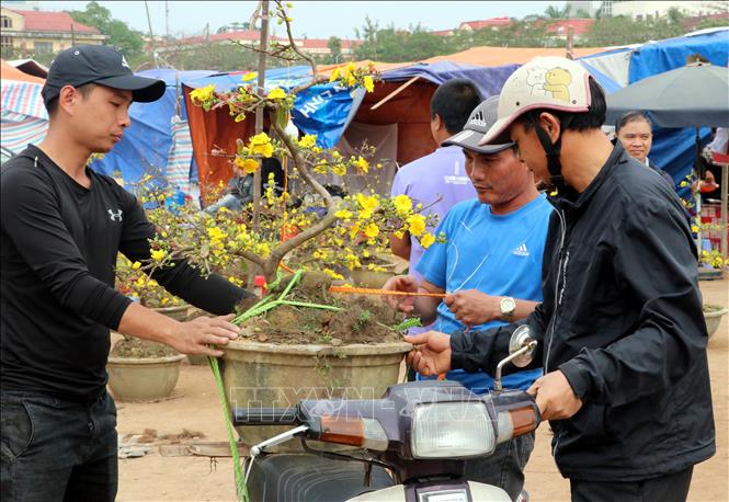 Trong ảnh: Người dân thành phố Nam Định đi chợ hoa để “rước” Xuân về nhà. Ảnh: Văn Đạt - TTXVN