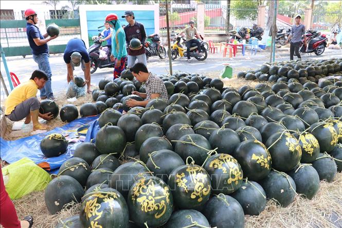 Trong ảnh : Những gian hàng bán dưa hấu được khắc chữ thư pháp tại chợ dưa thành phố Cao Lãnh.
Ảnh : Nguyễn Văn Trí - TTXVN